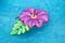 6ft. Inflatable Green & Pink Hibiscus Flower Pool Float